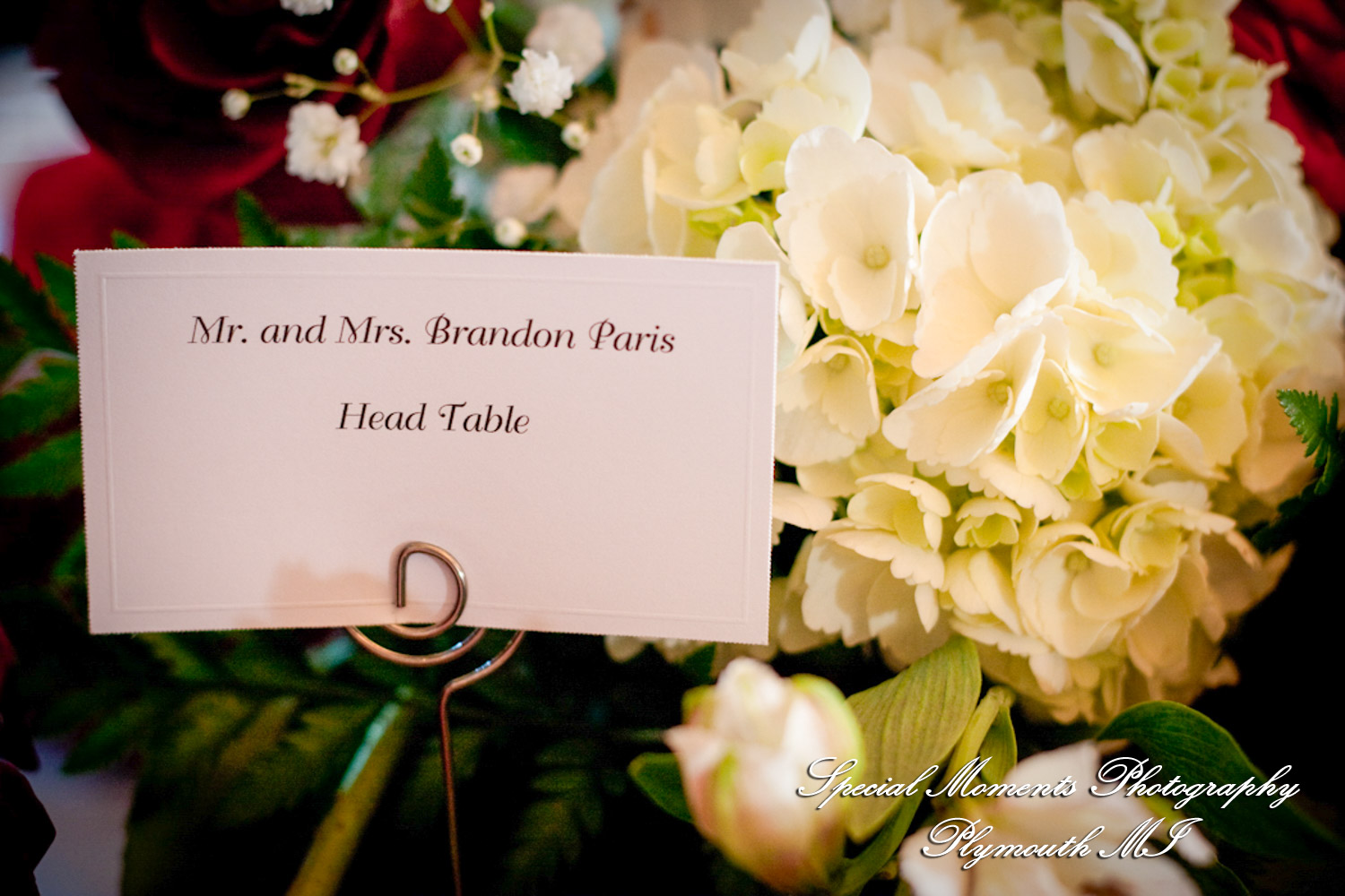Erika & Brandon at Summit on the Park Canton MI wedding photography
