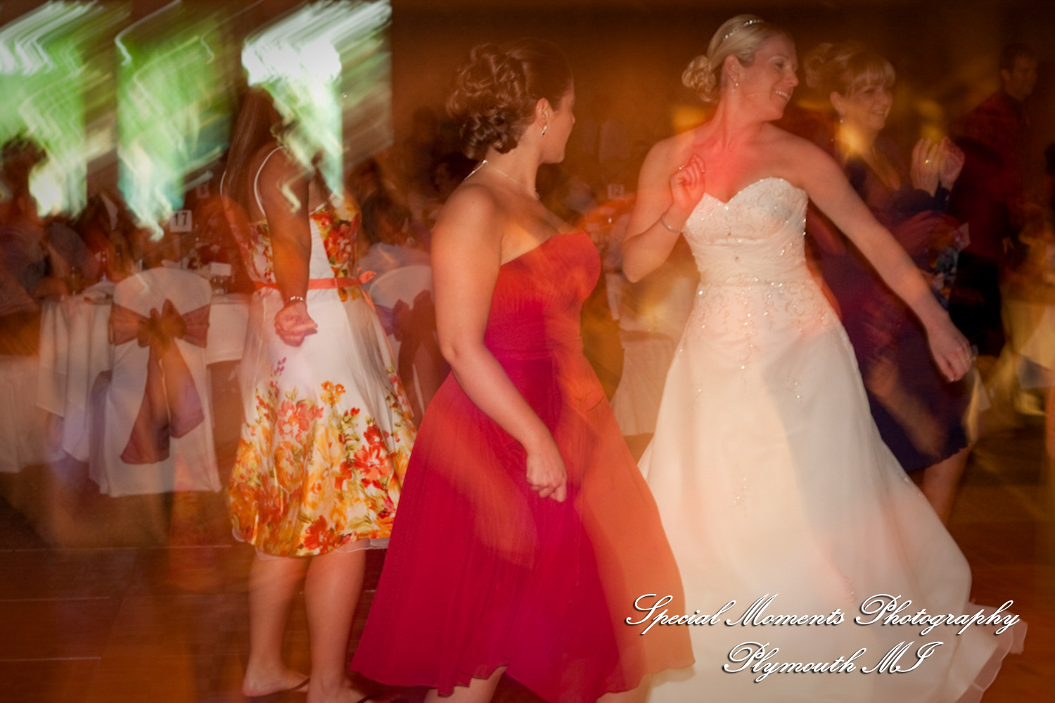 Erika & Brandon at Summit on the Park Canton MI wedding photography