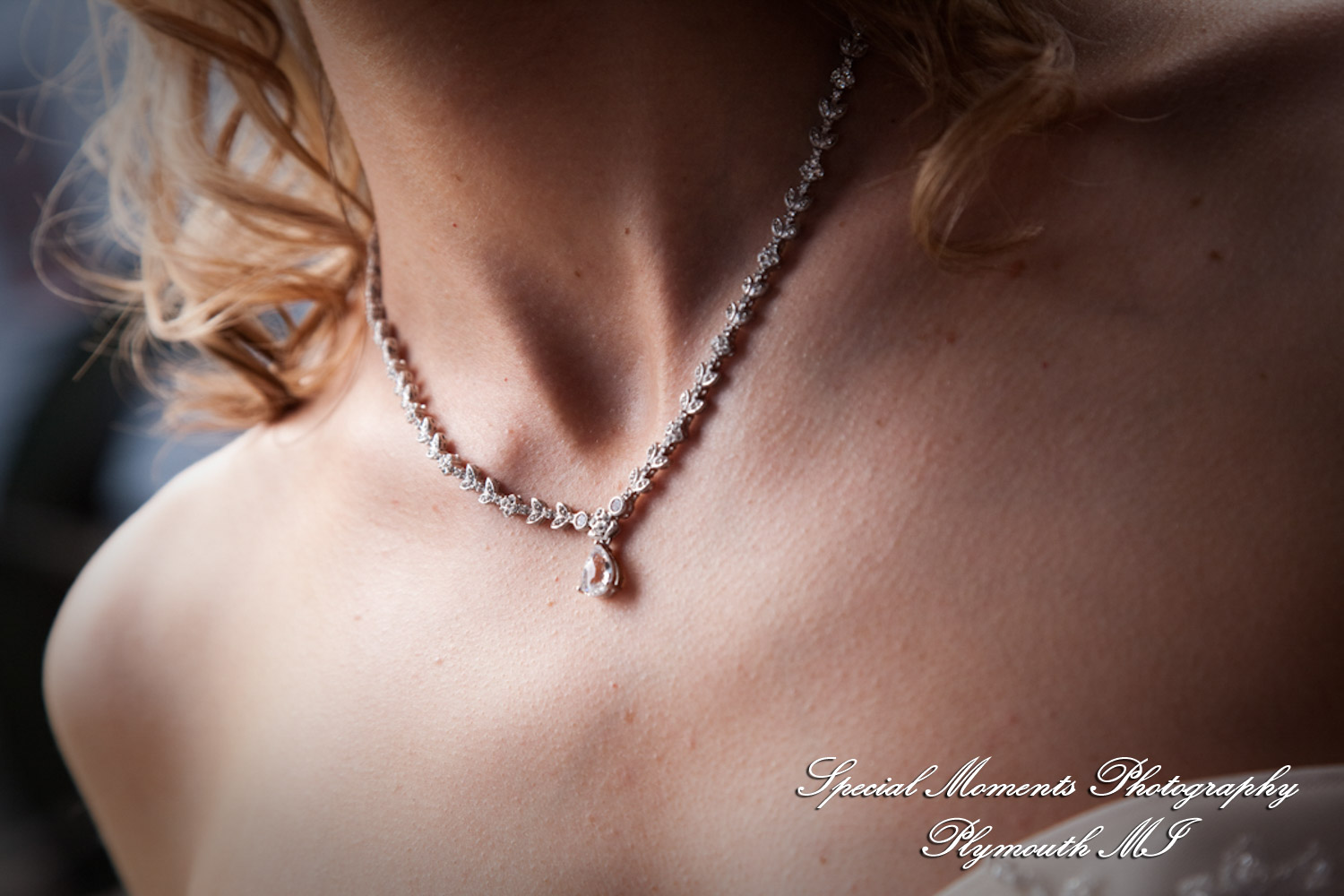 Allison & Richard at Lovett Hall Greenfield Village Dearborn MI wedding photography