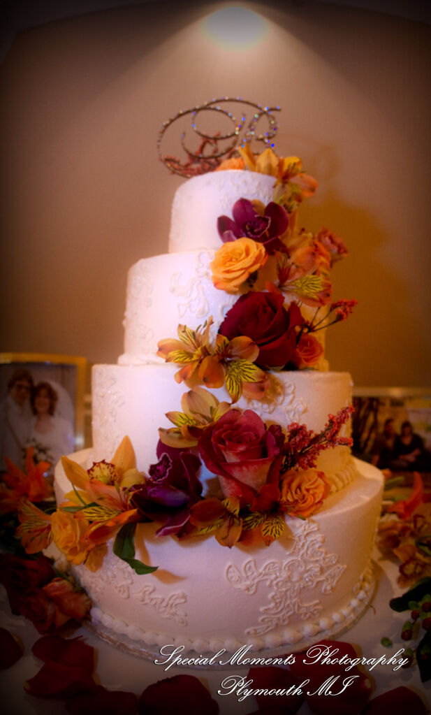 Caitlin & Kevin at Plymouth Manor Plymouth MI wedding photography