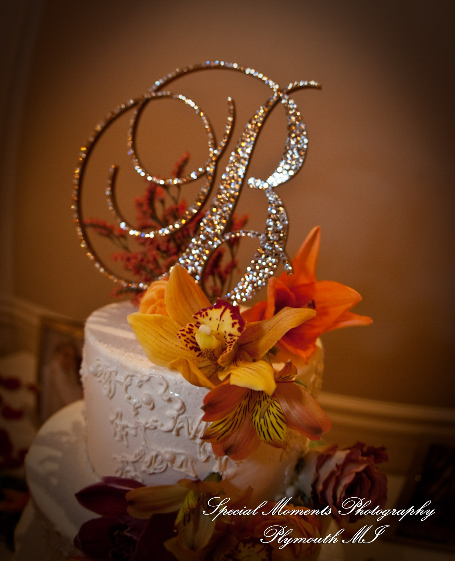 Caitlin & Kevin at Plymouth Manor Plymouth MI wedding photography