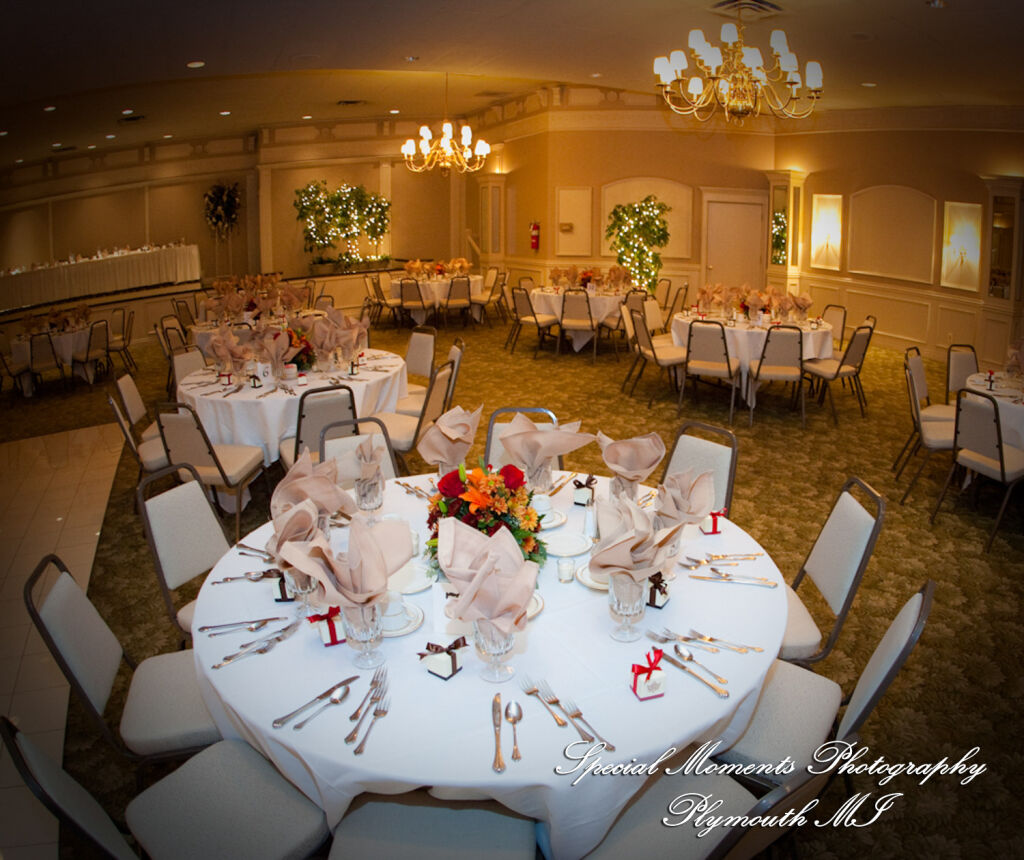 Caitlin & Kevin at Plymouth Manor Plymouth MI wedding photography