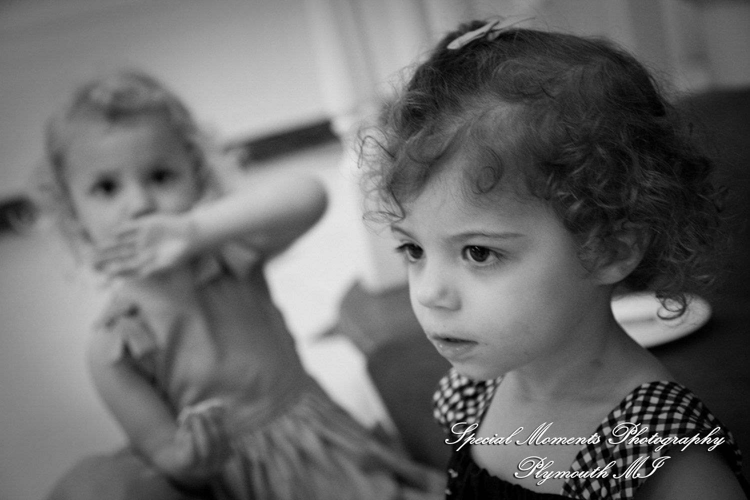 Allison & Richard at Lovett Hall Greenfield Village Dearborn MI wedding photography