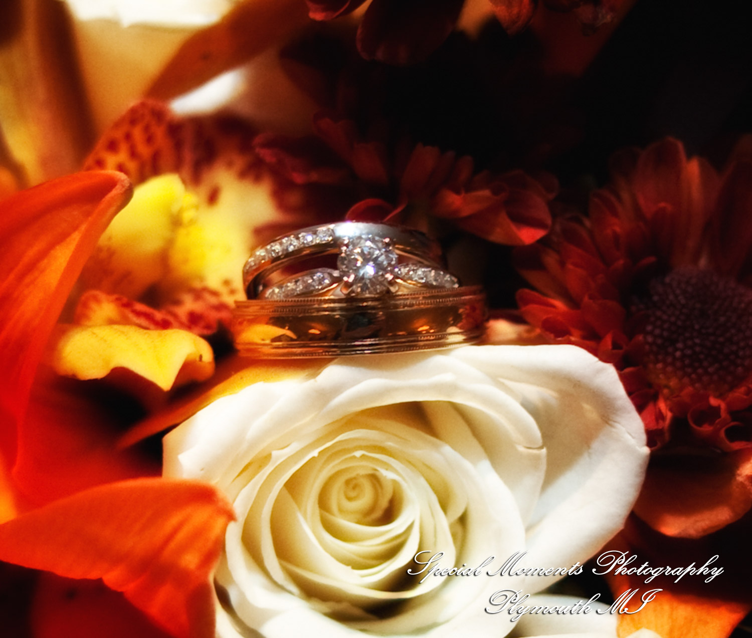 Caitlin & Kevin at Plymouth Manor Plymouth MI wedding photography
