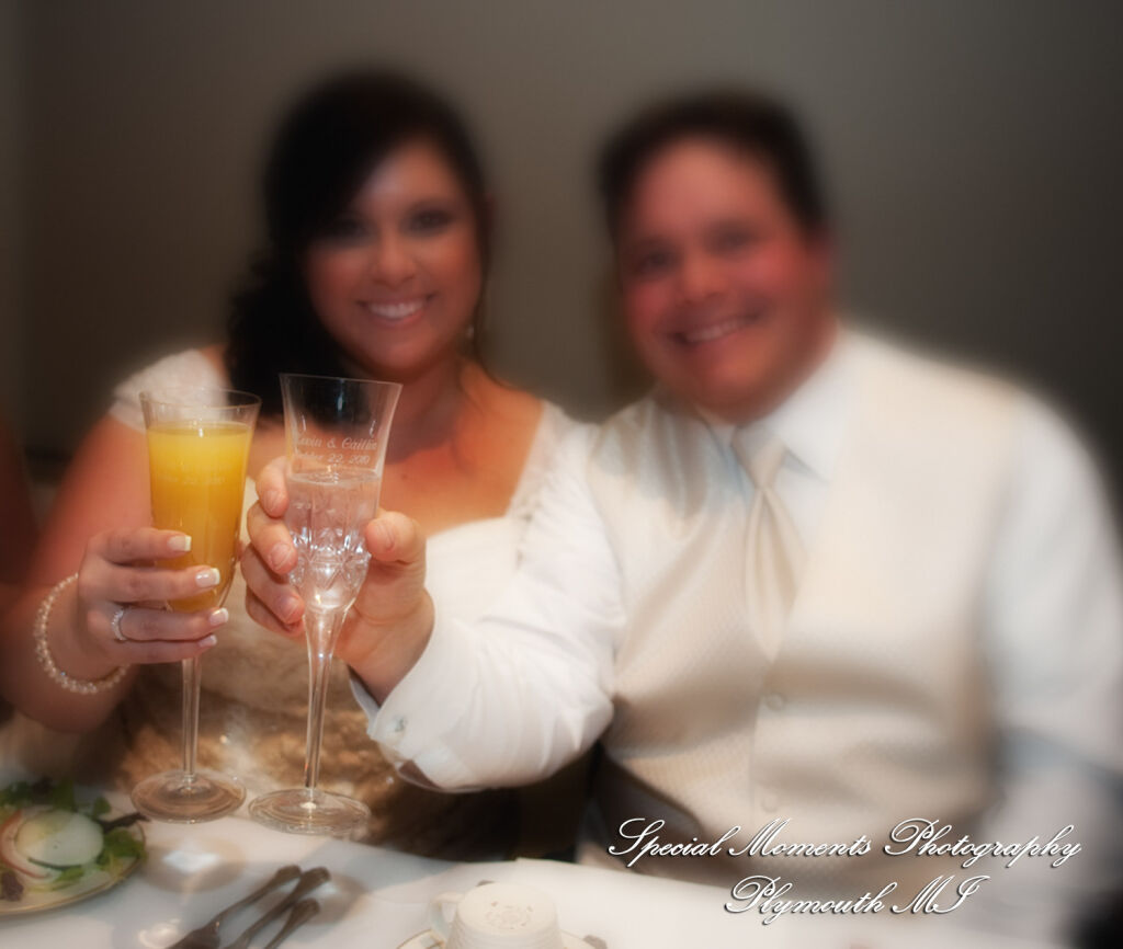 Caitlin & Kevin at Plymouth Manor Plymouth MI wedding photography