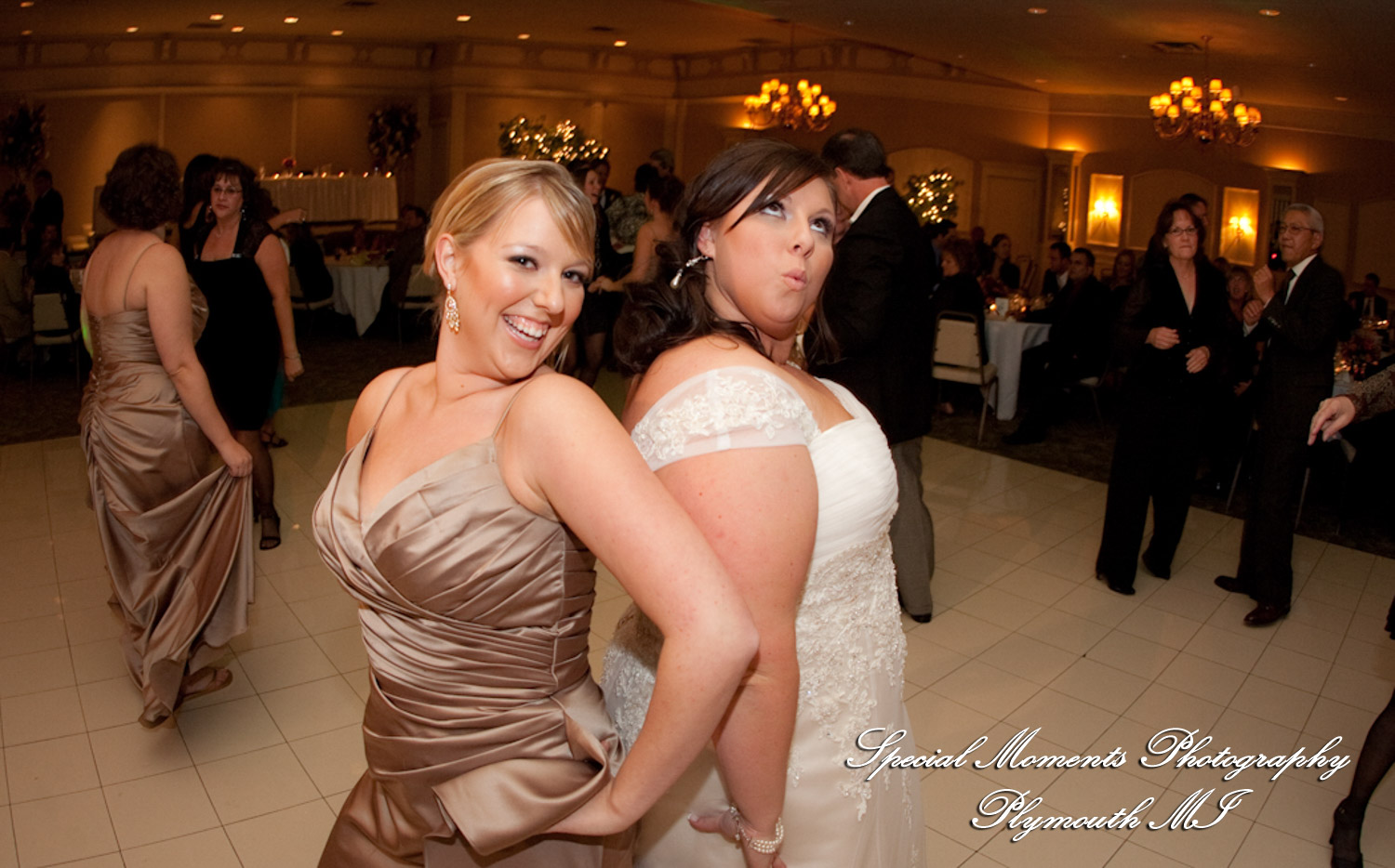 Caitlin & Kevin at Plymouth Manor Plymouth MI wedding photography