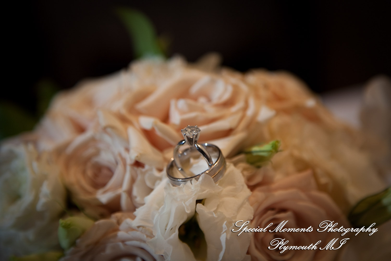 Jennifer & Jason at Dearborn Inn Dearborn MI wedding photography