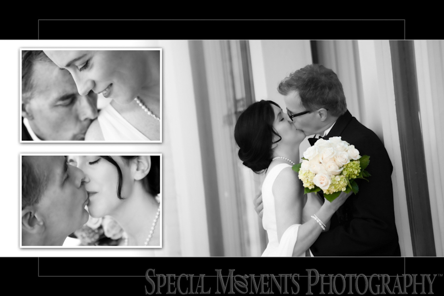 Stone Arch wedding photograph Saline MI