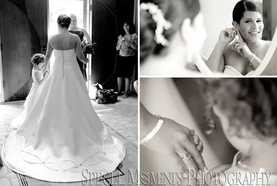 Temple Beth Emeth Ann Arbor MI wedding photograph