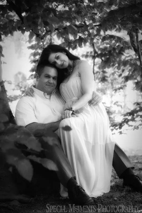 Ann Arbor Engagement