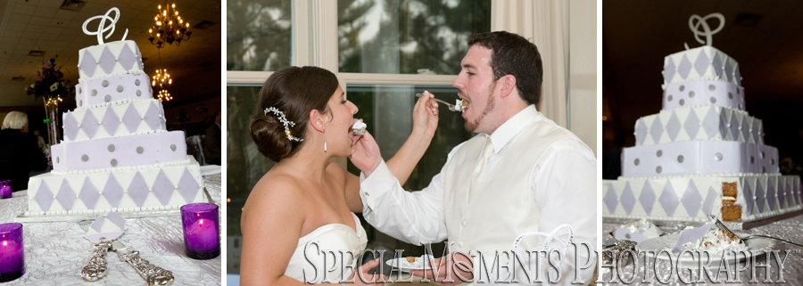 Polo Fields Ann Arbor MI wedding photograph