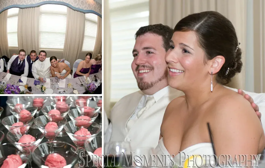 Polo Fields Ann Arbor MI wedding photograph