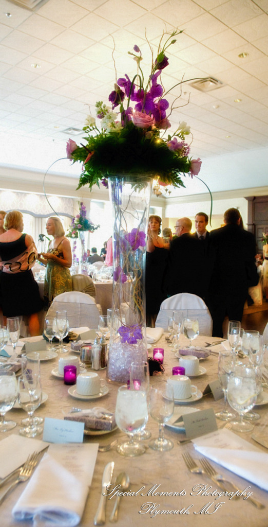 Alisa & Kevin Polo Fields Ann Arbor MI wedding photograph