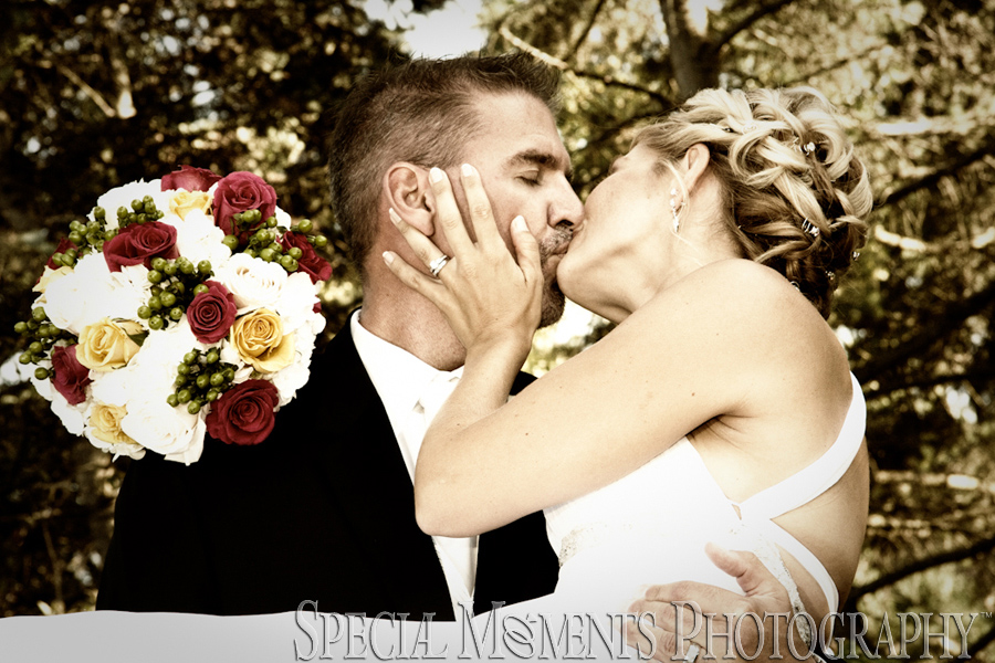 Matthaei Botanical Gardens wedding - Ann Arbor MI