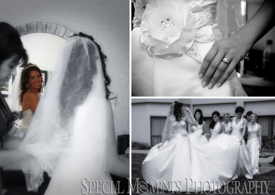 Livonia Marriott wedding - Livonia MI