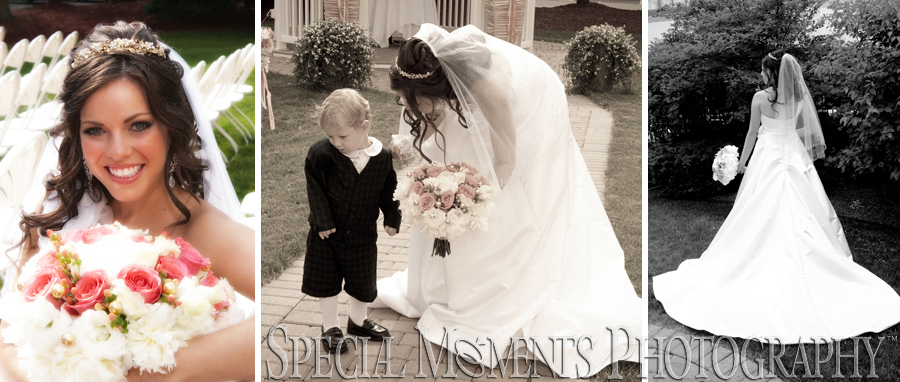 Livonia Marriott wedding - Livonia MI