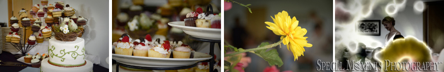 First Unitarian Universalist Church - Ann Arbor wedding photograph