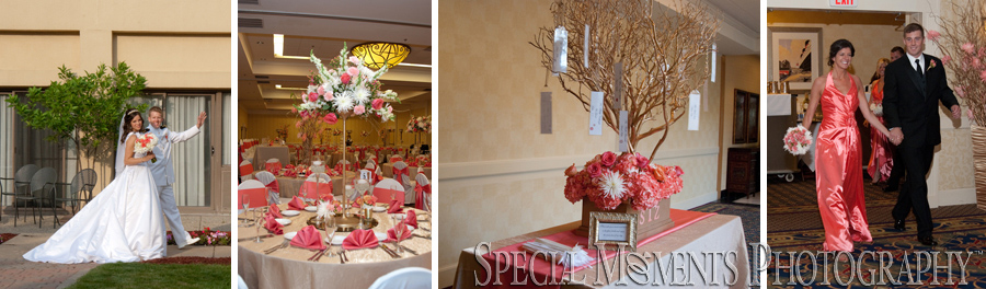 Livonia Marriott wedding - Livonia MI