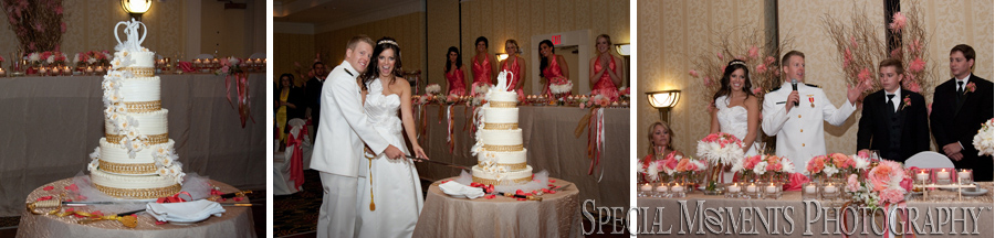 Livonia Marriott wedding - Livonia MI