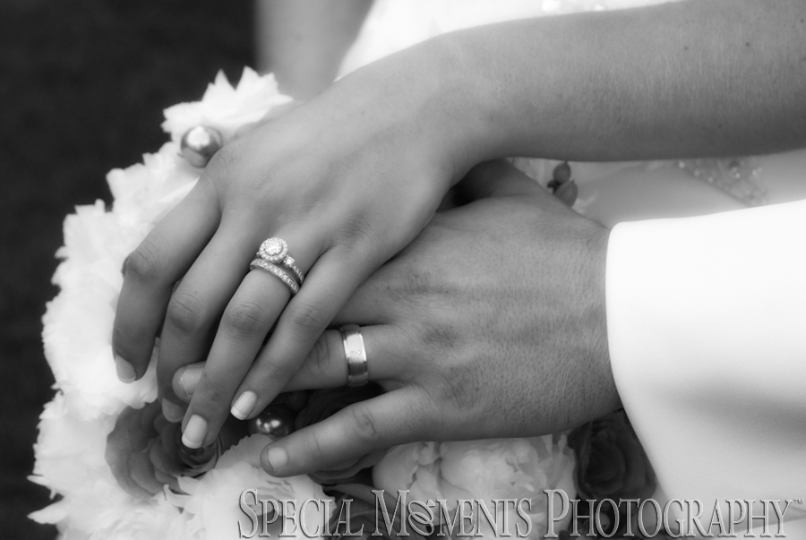 Livonia Marriott wedding - Livonia MI