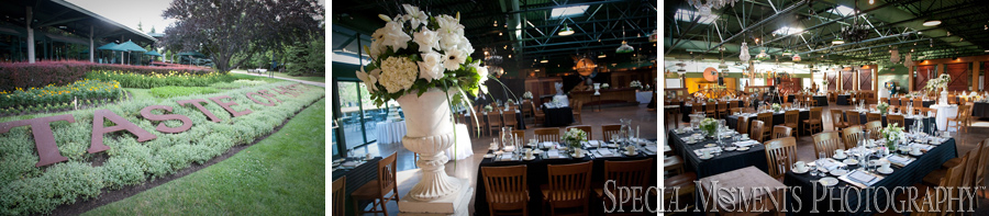 Taste of History wedding Dearborn MI