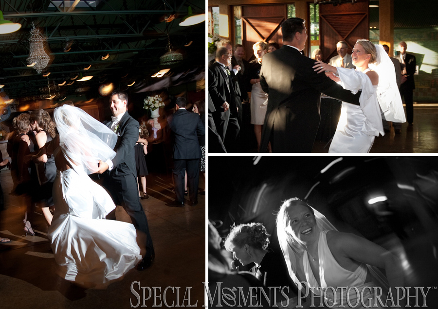 Taste of History wedding Dearborn MI