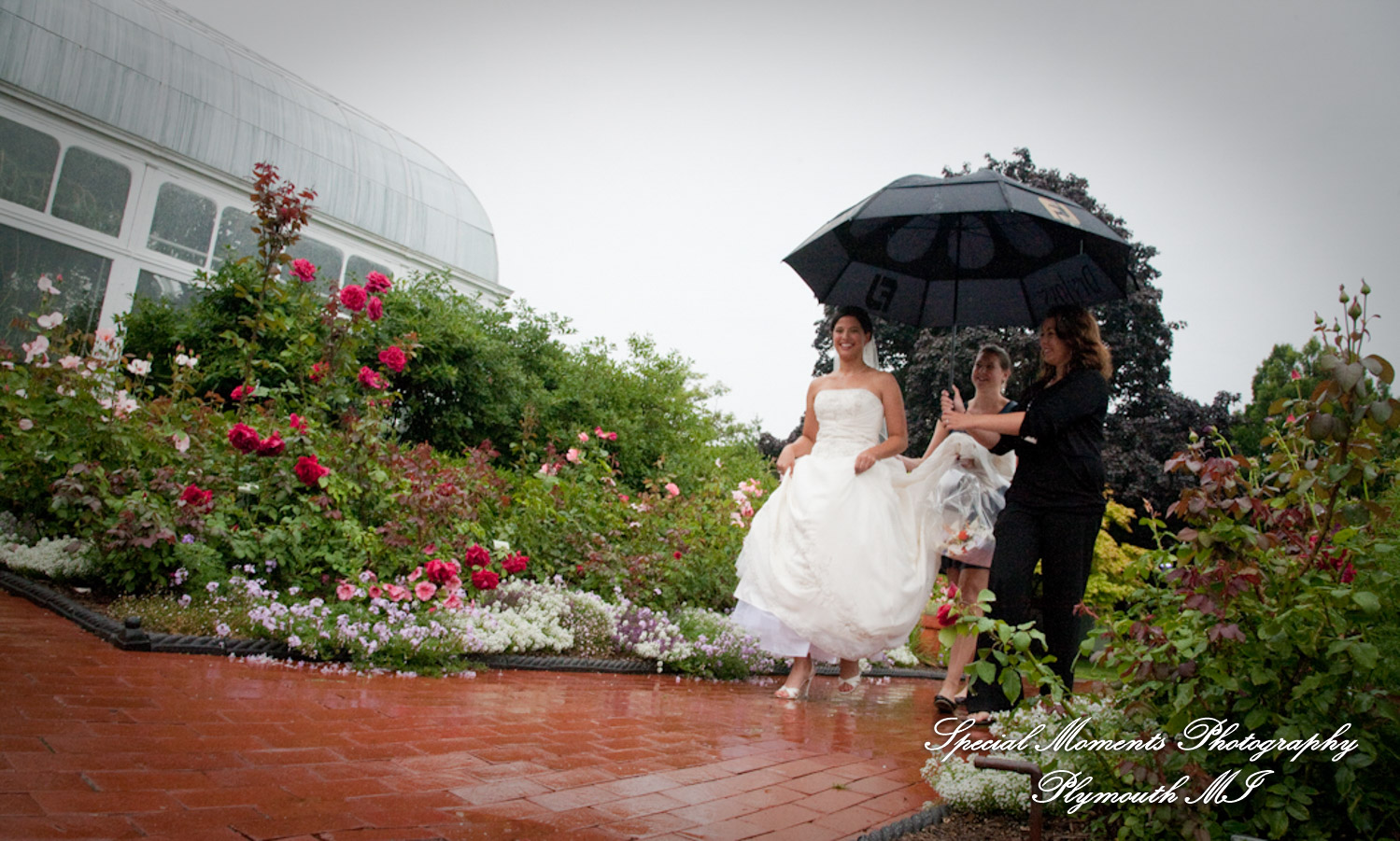 Toledo Zoo Toledo OH wedding photograph