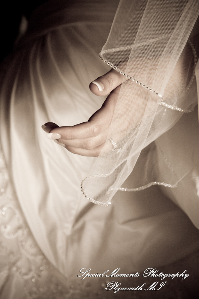 Rachel & Matt at Ginger Meyer Gardens Greenfield Village Dearborn MI wedding photography