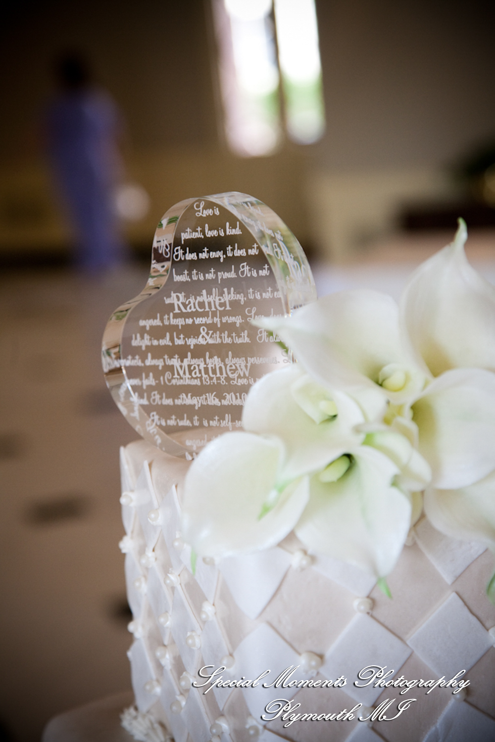 Rachel & Matt at Ginger Meyer Gardens Greenfield Village Dearborn MI wedding photography