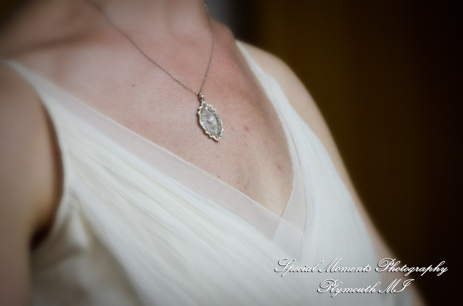 Michele & Glenn at First Unitarian Universalist Congregation Ann Arbor MI wedding photography