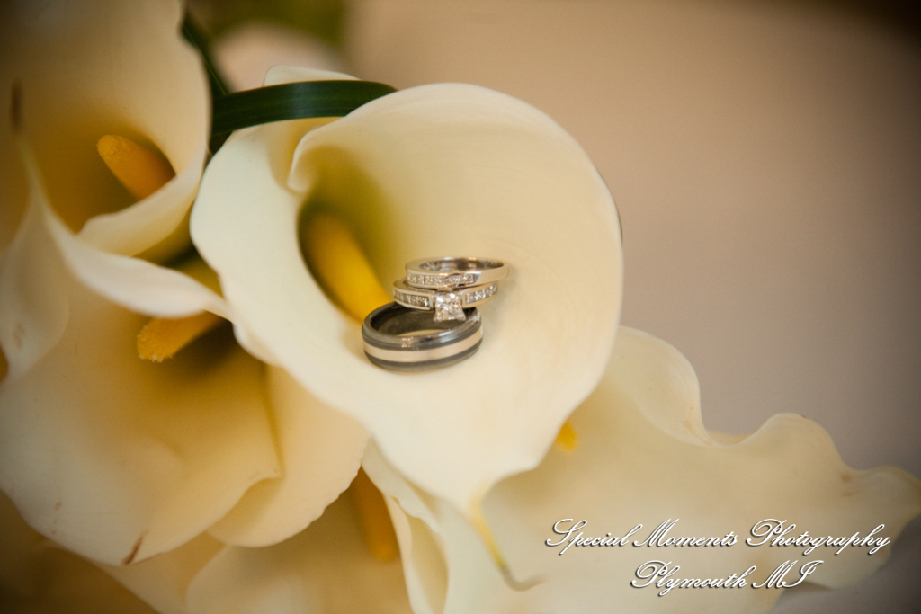 Rachel & Matt at Lovett Hall Greenfield Village Dearborn MI wedding photography