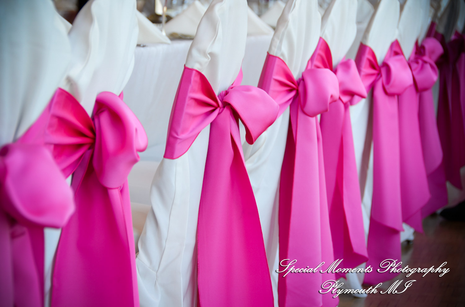 Allison & Christopher at Grosse Pointe War Memorial Grosse Pointe Farms MI wedding photography