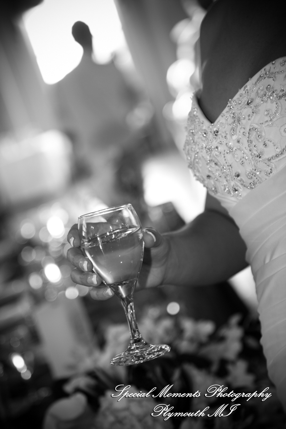 Rachel & Matt at Lovett Hall Greenfield Village Dearborn MI wedding photography