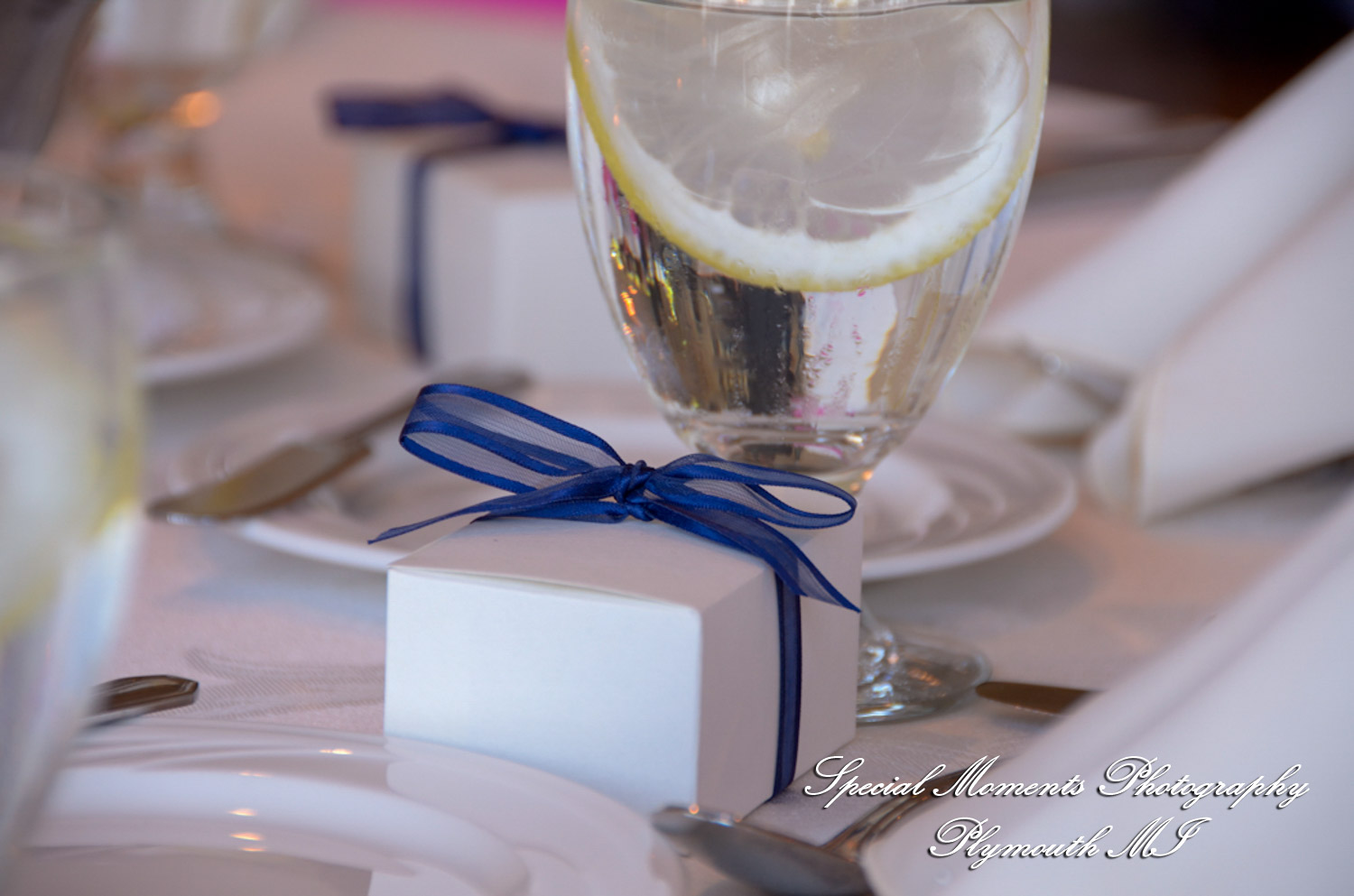 Allison & Christopher at Grosse Pointe War Memorial Grosse Pointe Farms MI wedding photography