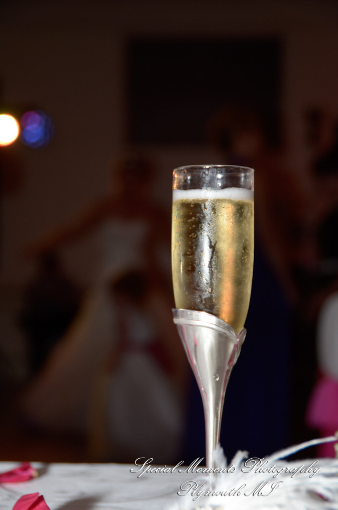 Allison & Christopher at Grosse Pointe War Memorial Grosse Pointe Farms MI wedding photography