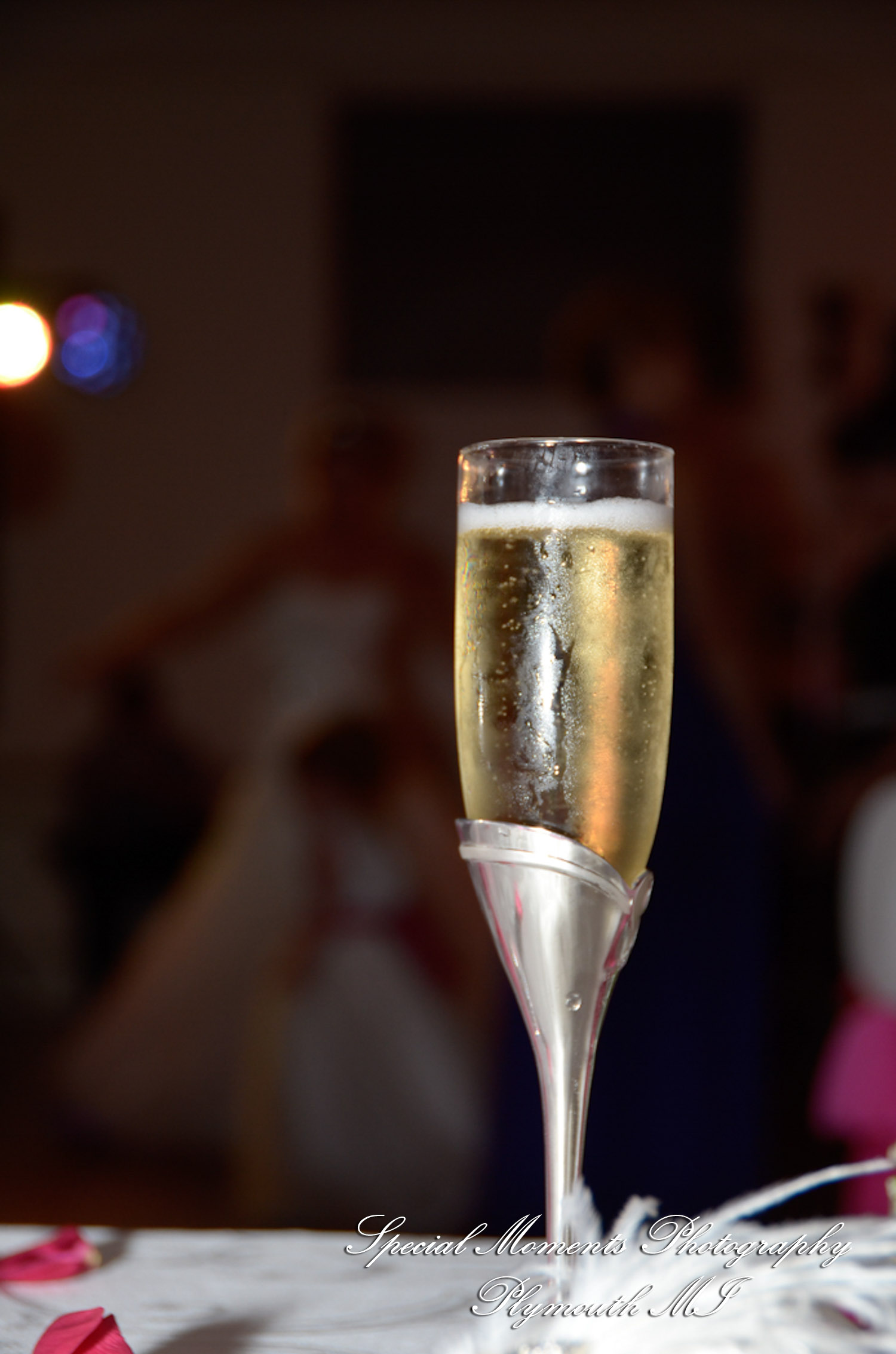 Allison & Christopher at Grosse Pointe War Memorial Grosse Pointe Farms MI wedding photography