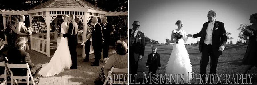 Fox Hills Country Club wedding Plymouth