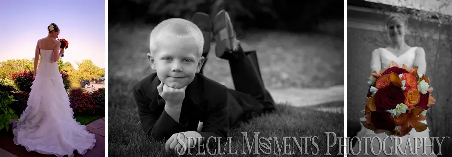 Fox Hills Country Club wedding Plymouth
