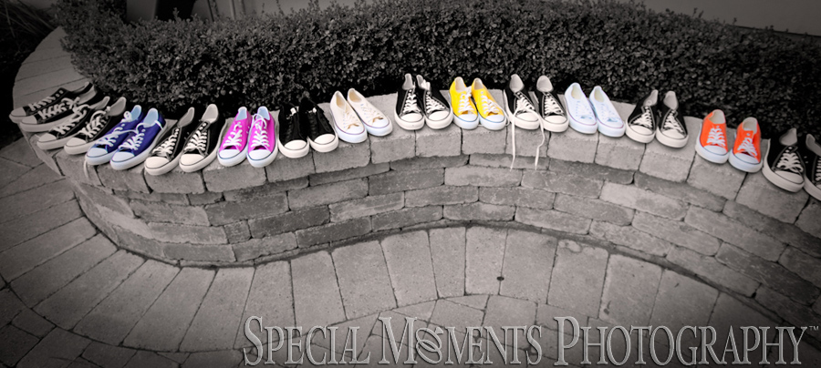 Plymouth Manor Plymouth MI wedding photograph