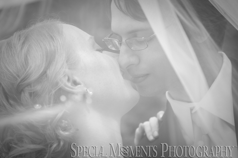 Wellers Carriage House wedding Saline