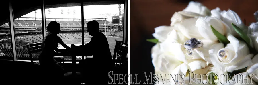 Detroit Athletic Club - Detroit wedding