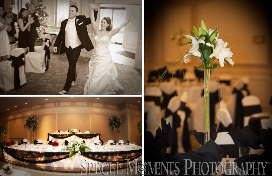 Plymouth Manor Plymouth MI wedding photograph