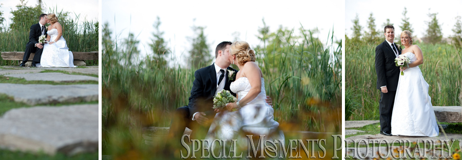 George George Memorial Park Clinton Twp. MI wedding photograph