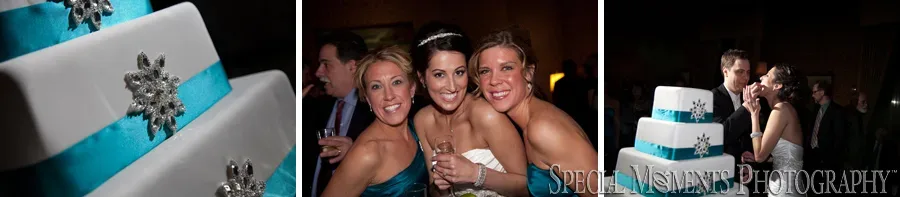 Detroit Athletic Club - Detroit wedding