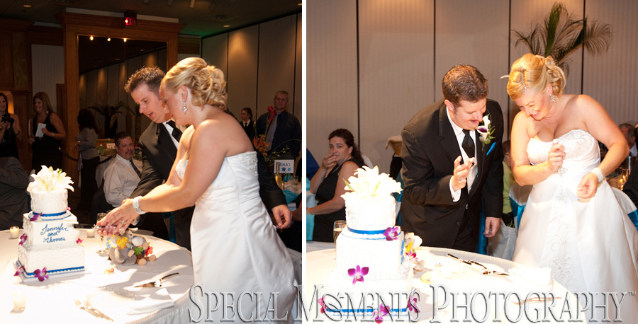 The Mirage Clinton Township MI wedding photograph