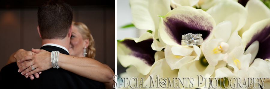 The Mirage Clinton Township MI wedding photograph