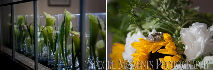 Cherry Creek Golf Club wedding Shelby Twp.
