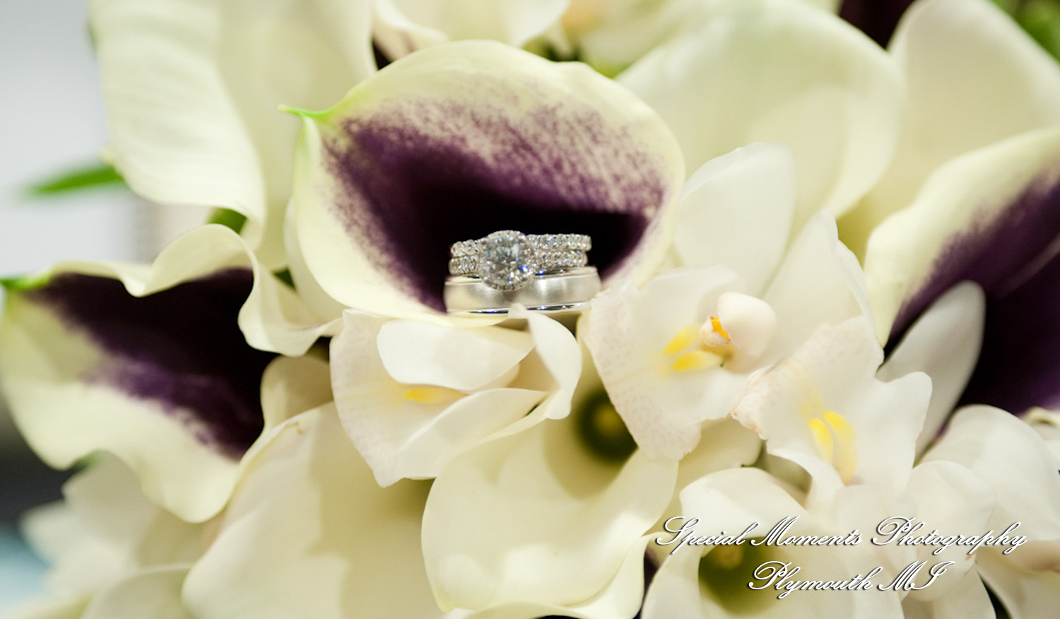 Jen & Thomas at Mirage Banquet Hall Clinton Twp. MI wedding photography