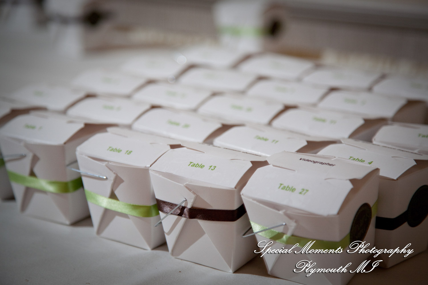Rachelle & Matthew at The Palazzo Grande Shelby Twp. MI wedding photography