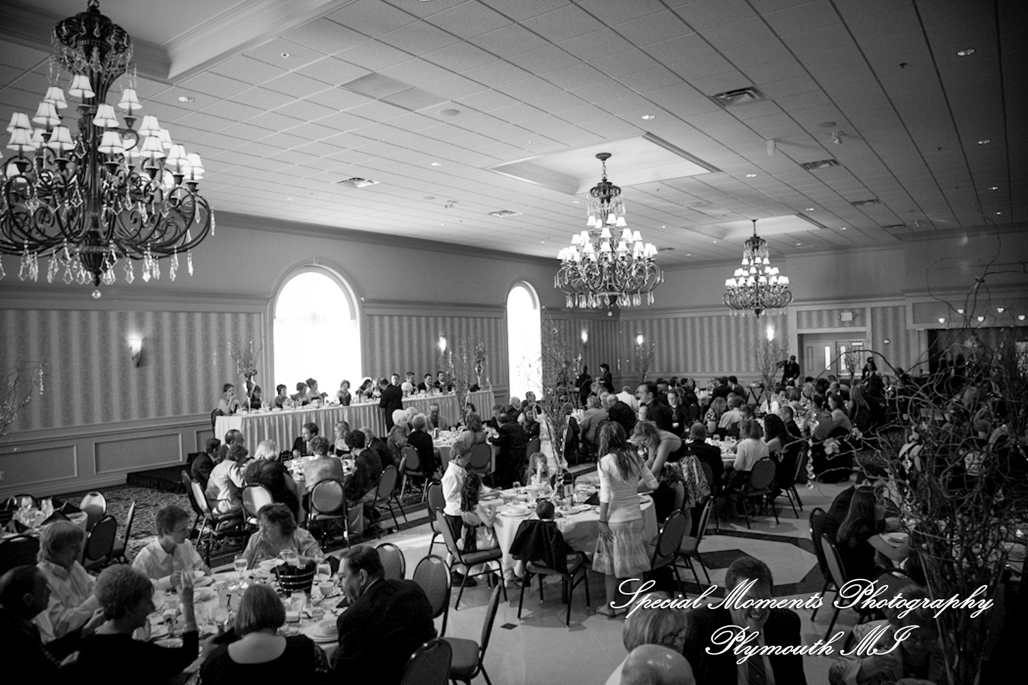 Rachelle & Matthew at The Palazzo Grande Shelby Twp. MI wedding photography